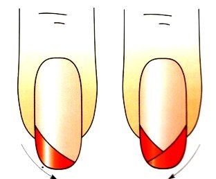 Нарисовать пуделя поэтапно