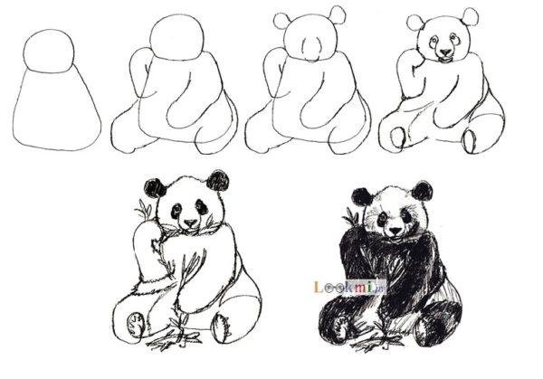 Киви фломастерами