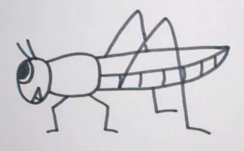 Поэтапное рисование кузнечика для дошкольников
