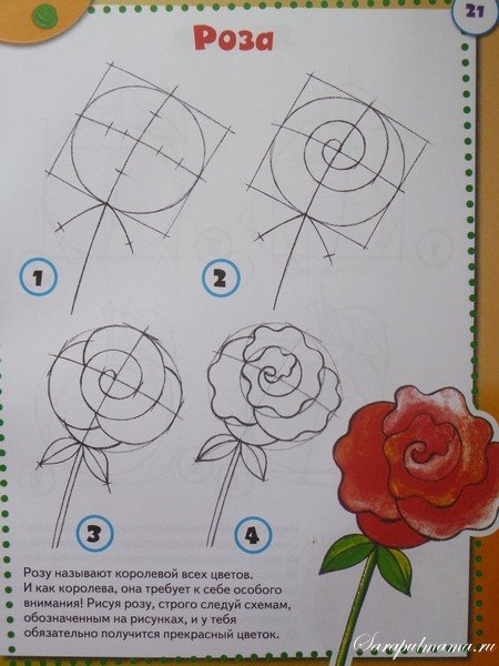 Схемы рисования цветов