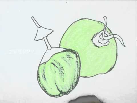 Василек рисовать