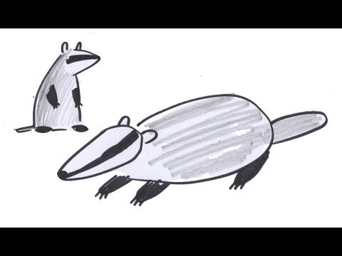 Как нарисовать барсука легко