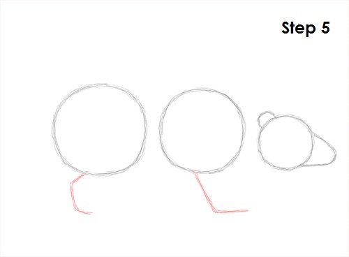 Нарисовать барсука карандашом поэтапно для начинающих