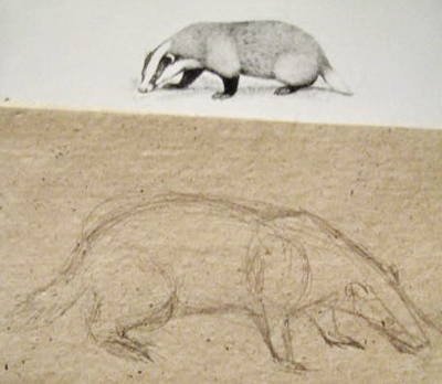 Барсук поэтапно