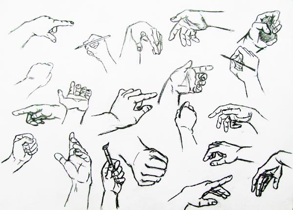 Пропорции кисти руки