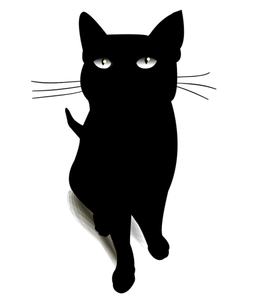 Черная кошка