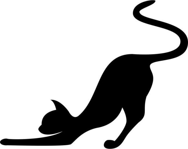 Красивый силуэт кошки