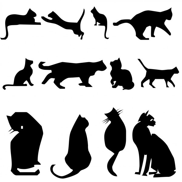 Очертание кошки