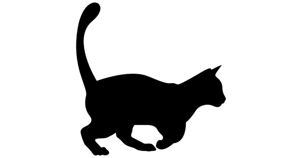 Силуэт кота