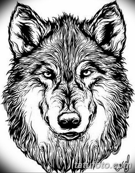 Символ Волха