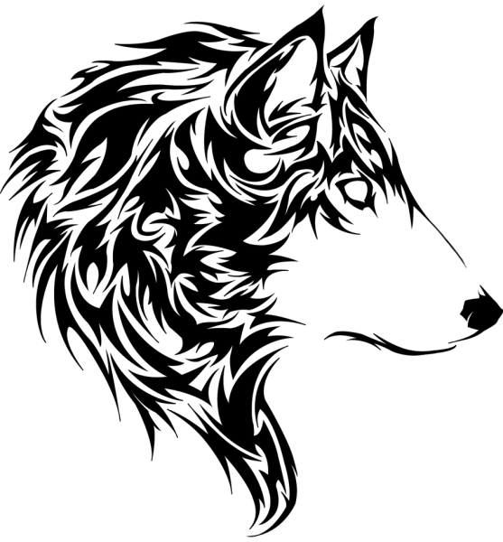 Рисунки Волков