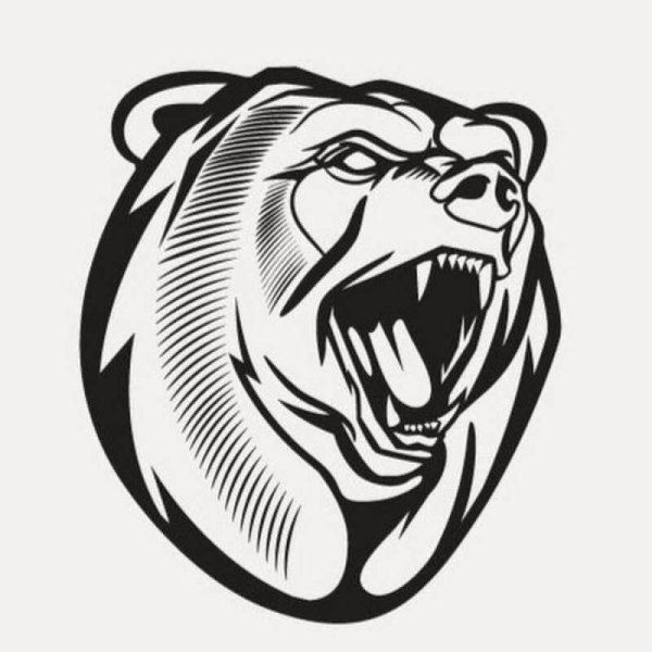 Медведь вектор