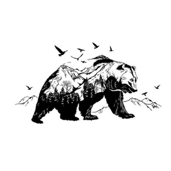 Медведь векторное изображение