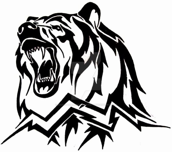 Оскал медведя тату эскиз