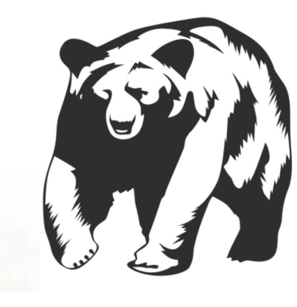 Бурый медведь вектор