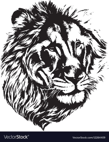 Графическое изображение Льва