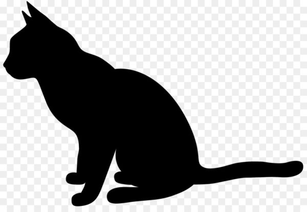 Окошко силуэт