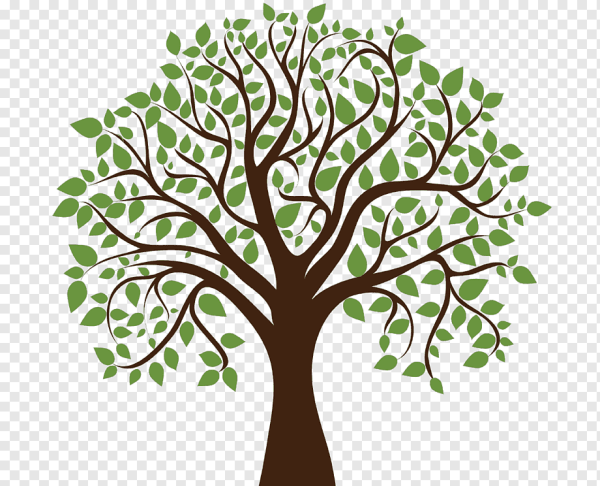 Нарисовать дерево