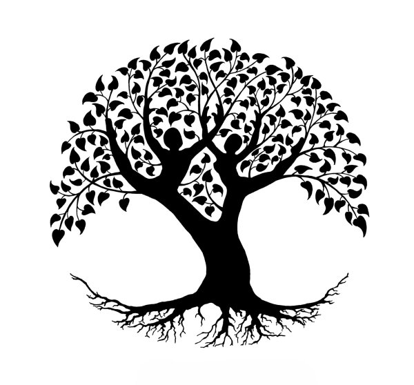 Силуэт дерева