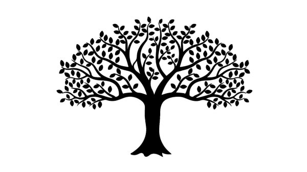 Дерево вектор