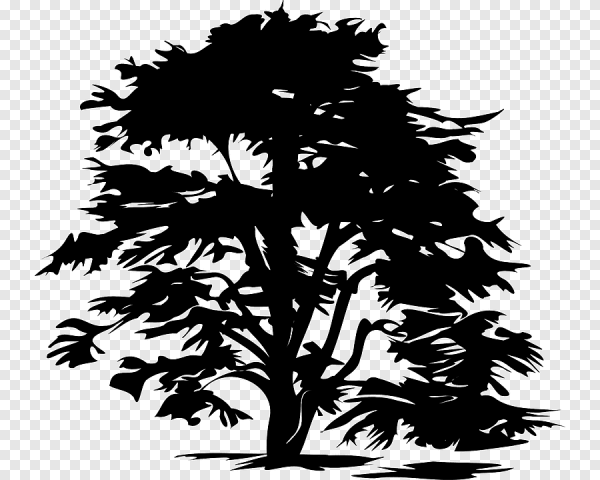 Векторное дерево