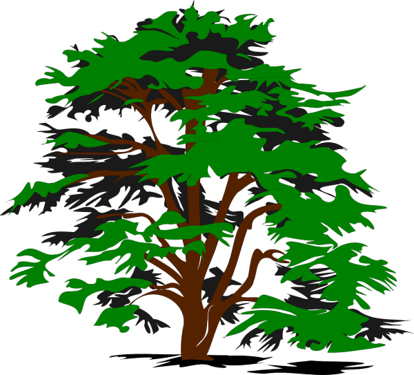 Векторное изображение дерева