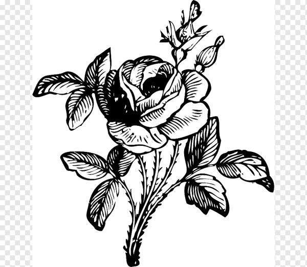 Черно-белый цветок