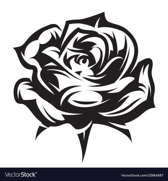 Роза вектор