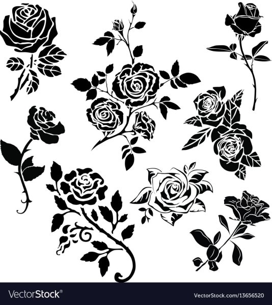 Роза вектор