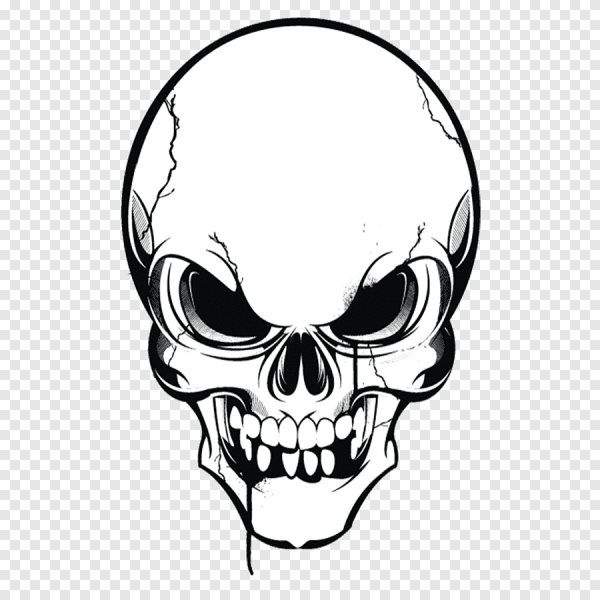 Череп рисунок