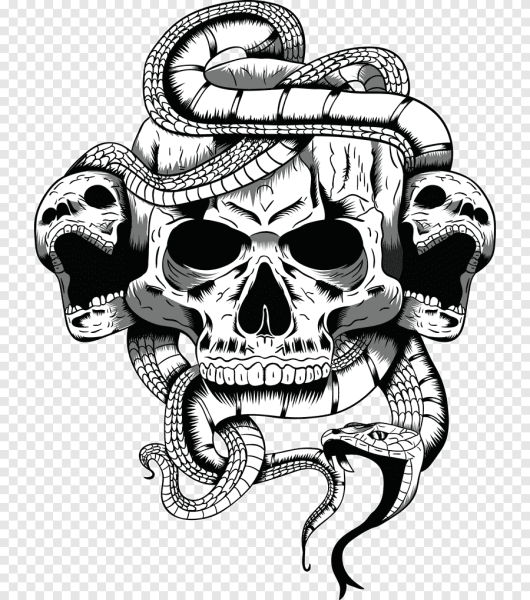 Череп в векторном формате