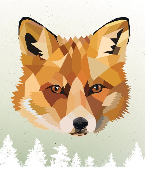 Лиса геометрия