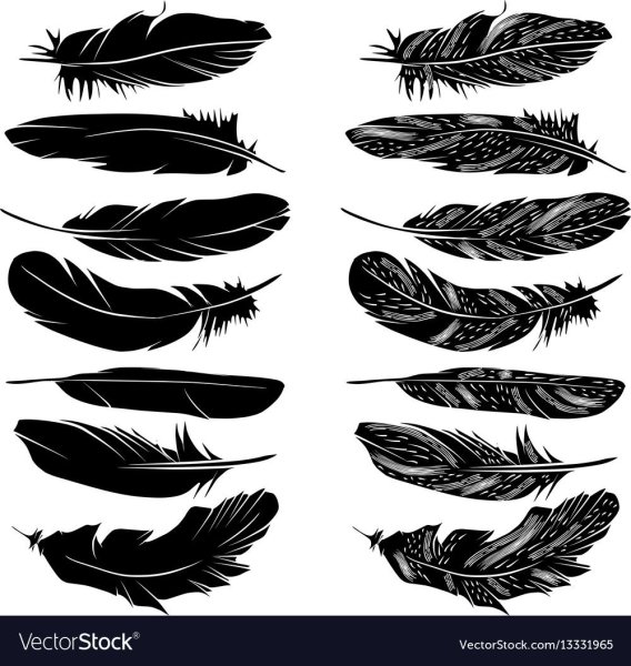 Перо вектор