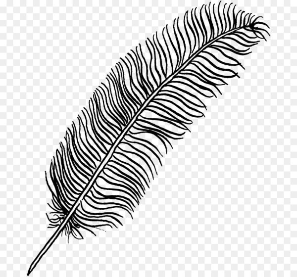 Линия пером