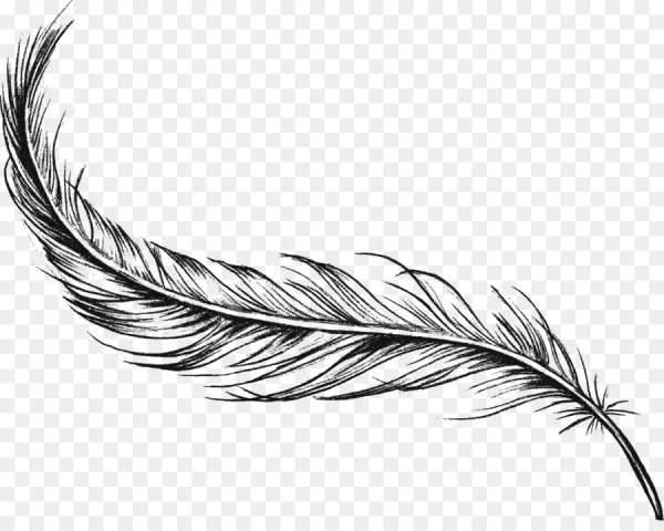 Нарисовать перо