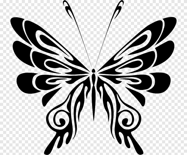 Бабочка рисунок векторный