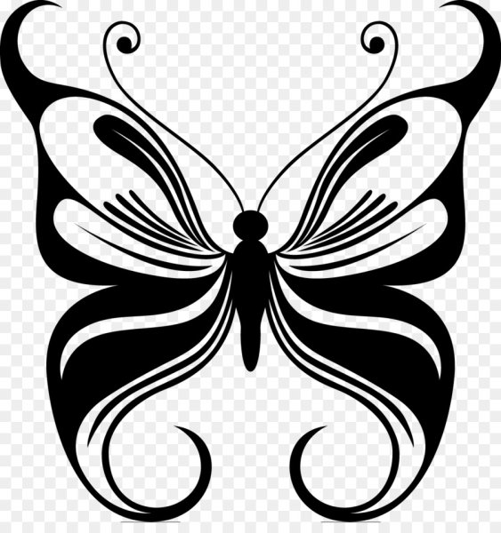 Бабочка монохром