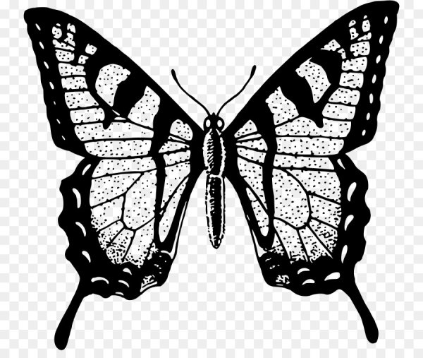 Бабочки мультяшные