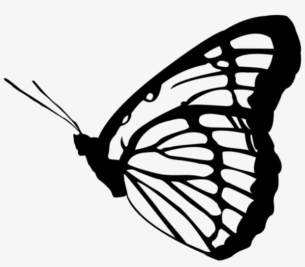 Жёлтая бабочка