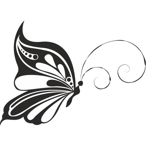Контуры бабочек для декора