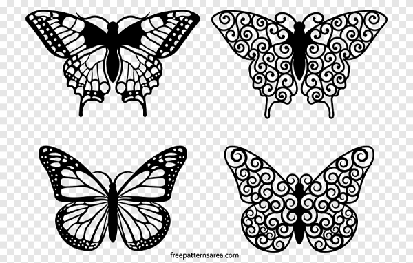 Бабочка вектор