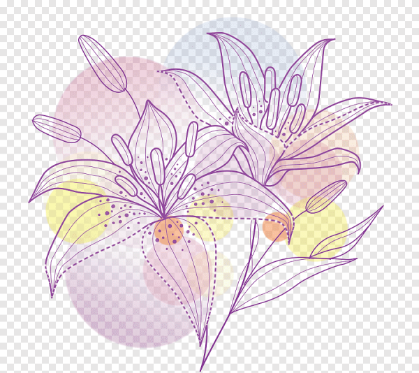 Векторные цветы лилии
