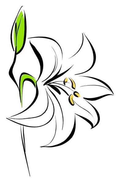 Лилия логотип