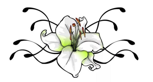 Орнамент лилии