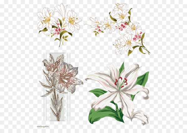 Орнамент лилии