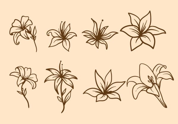 Лилия силуэт