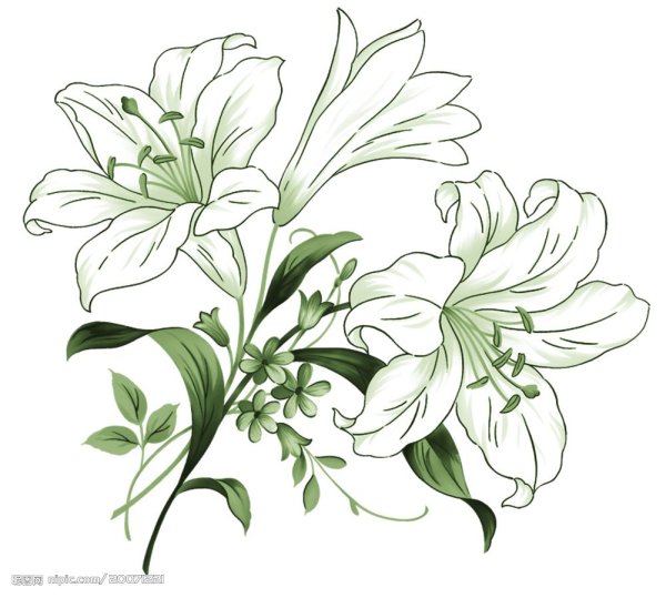 Трафареты цветов лилии