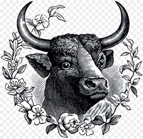 Изображение быка стилизованное