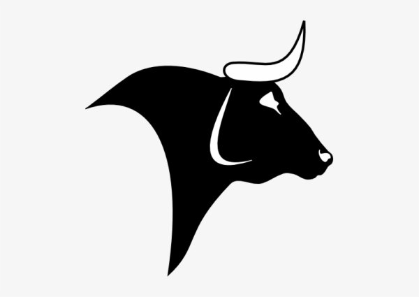 Векторное изображение быка