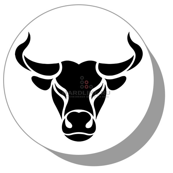 Бык очертание